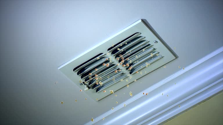 Best Affordable Duct Cleaning Services  in Perryville, MO